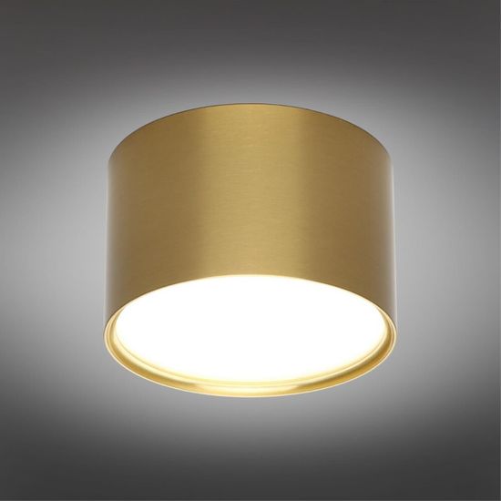 Светильник встраиваемый-накладной OML-103329-06