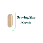 Seeking Health, сахаромицеты Буларди, 5 млрд КОЕ, 60 капсул