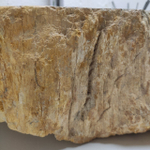 Раковина из окаменелого дерева FossilBasin OD-61278 54*44*15