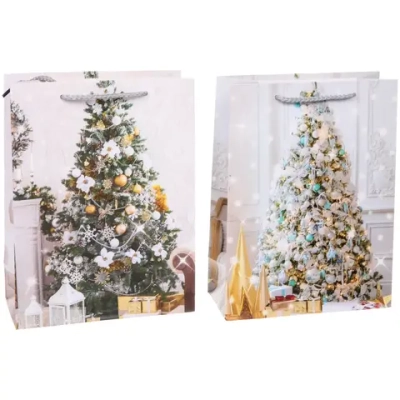 Пакет подарочный «Зимняя красавица» 18*24*8,5 см