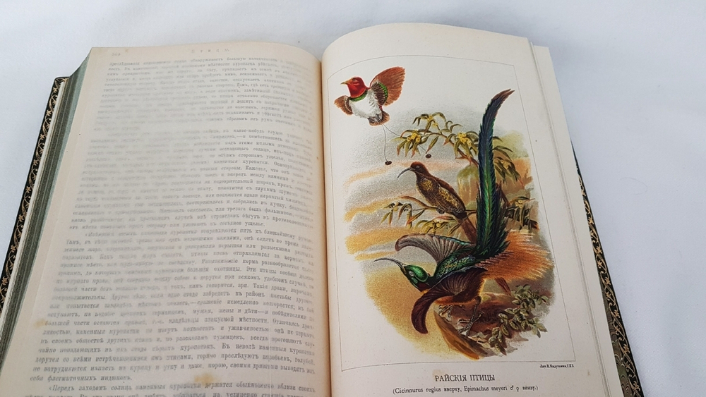 "Птицы". М.А.Мензбир. 1918г. - антикварное издание