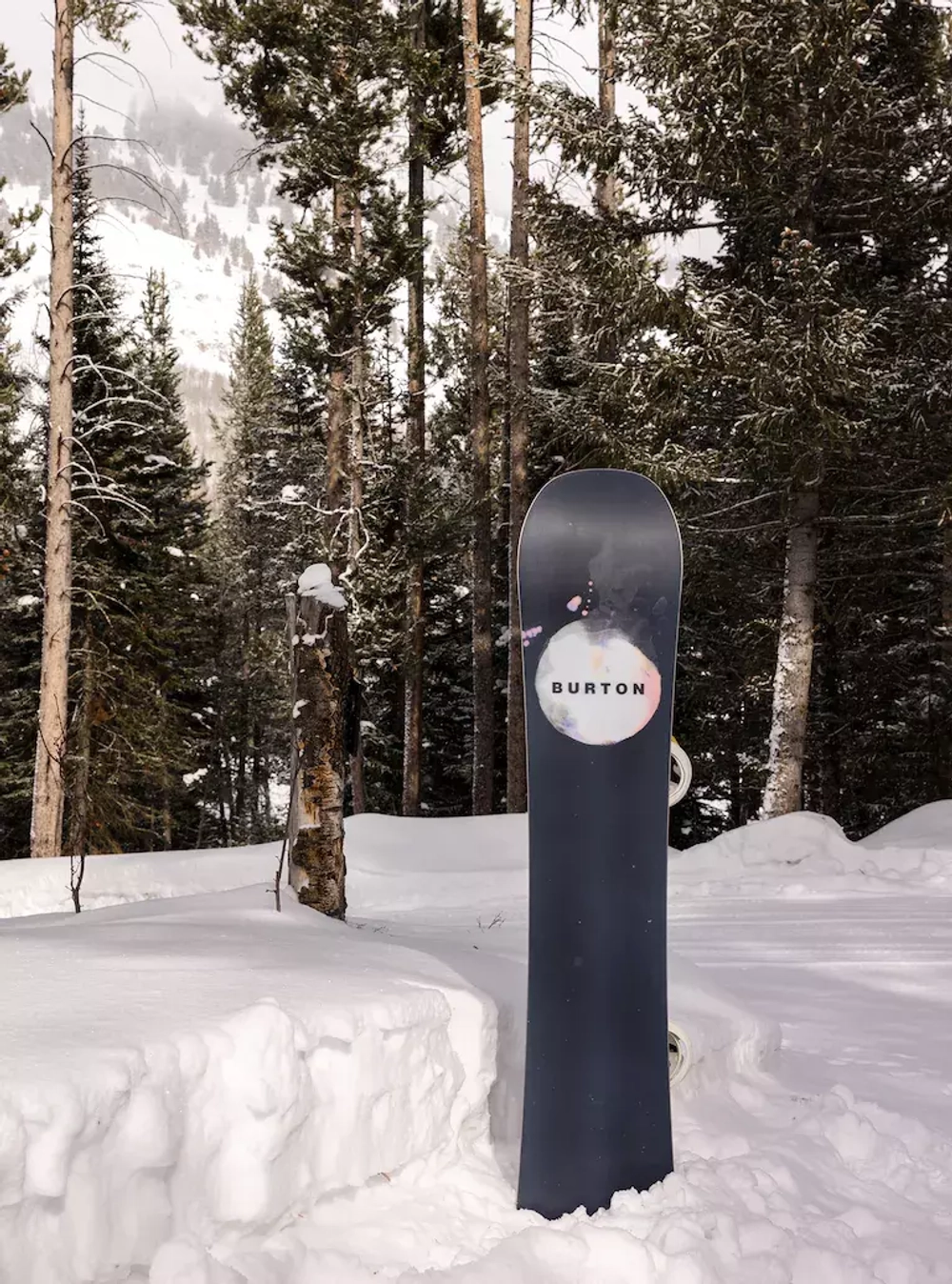 Сноуборд BURTON Men's Flight Attendant