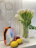 Охлаждающий футляр для бутылки 750 мл SPACE Orange