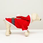 Толстовка Santa S, ДС 20 см; ОГ 32 см