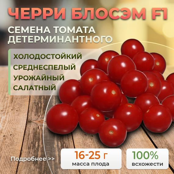 ЧЕРРИ БЛОСЭМ F1 семена томата (Sakata | Alexagro) – фото 1