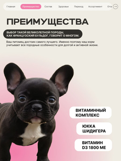Корм сухой для щенков породы Французский бульдог, с говядиной, 800 гр, QUATTRO
