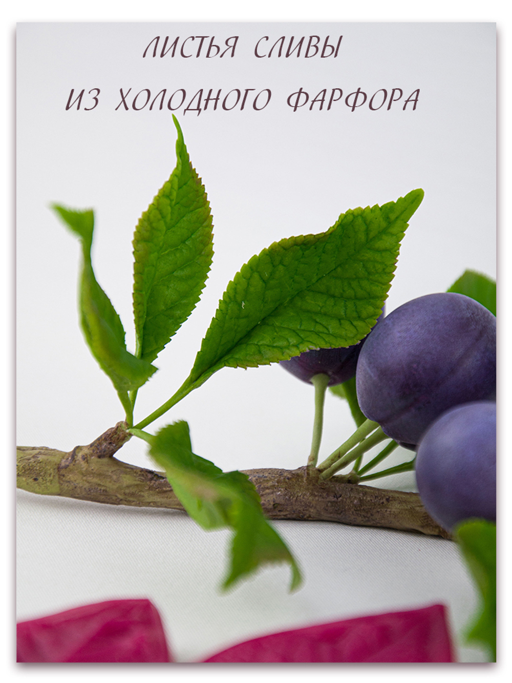 Лист сливы малый