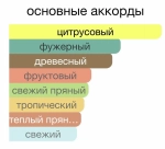 Парфюмерная вода для мужчин "МОЙ ЕДИНСТВЕННЫЙ" 100мл Россия