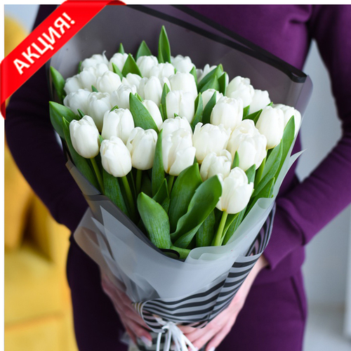 Купить Букет 35 белых тюльпанов Snowboard #815