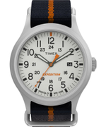 Мужские наручные часы Timex TW2V22800