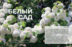Цветоводство ЛЕТО 2026