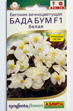 Бегония Бада бум F1 белая (2028; 71.95.02 /5) СМЦ-773