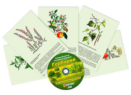 Интерактивный наглядный комплекс "Гербарий" для начальной школы