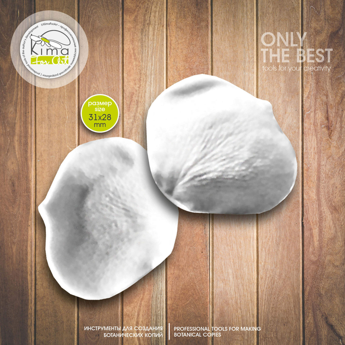 Роза кустовая лепесток маленький