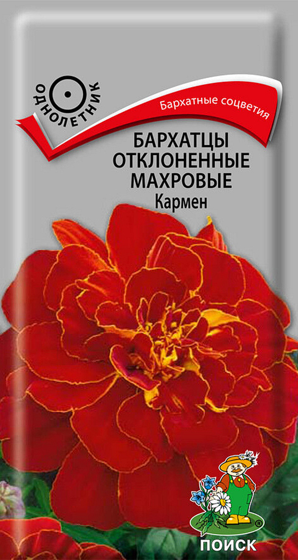 Бархатцы Кармен махр Поиск