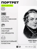 Портрет для школы в кабинет музыки "Роберт Шуман", стенд школьный для класса, деятели науки для оформления классного уголка, 40х30 см, Silver Plane x Айдентика Технолоджи