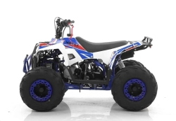 Квадроцикл MOTAX GRIZLIK A110