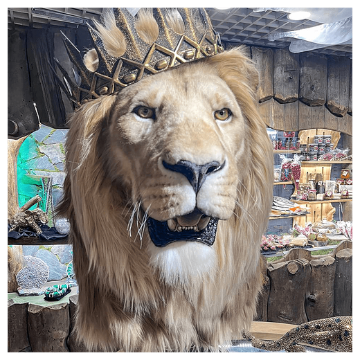 Реплика головы «Африканский лев» король