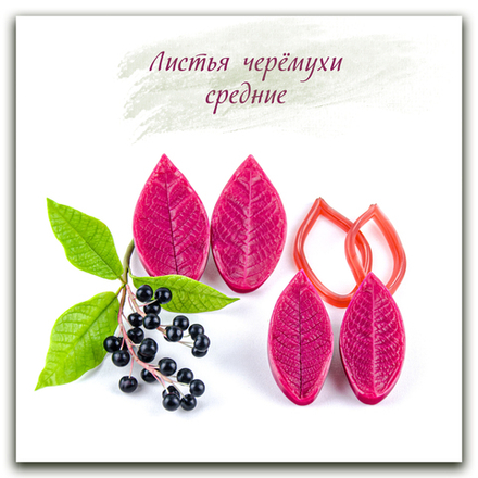 Листья черёмухи средние