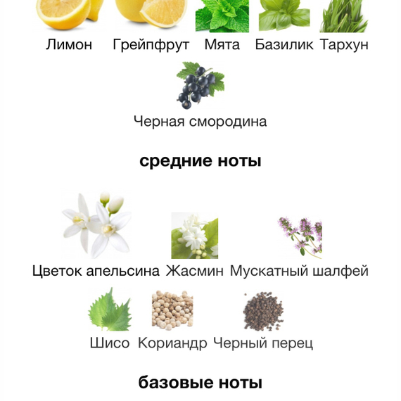 TOM FORD Mandarino Di Amalfi