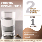 Концентрат Чага