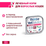 Диетический корм Monge VetSolution Cat Recovery Рекавери для кошек при восстановлении питания в период выздоровления 100 г