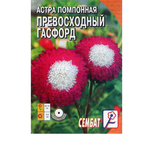 Астра помпонная "Превосходный Гасфорд 0,1г