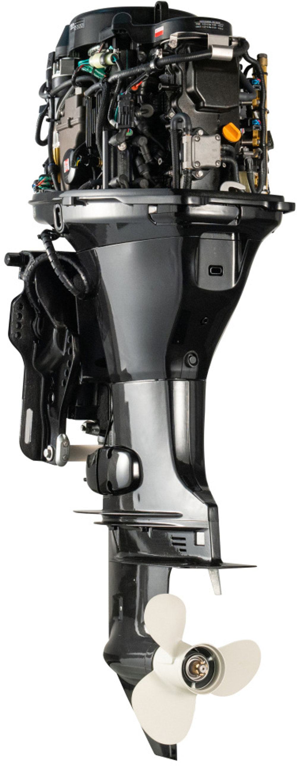 Лодочный мотор бензиновый Golfstream F115FEL-T EFI