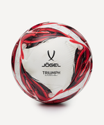 Мяч футбольный Triumph Elite №5