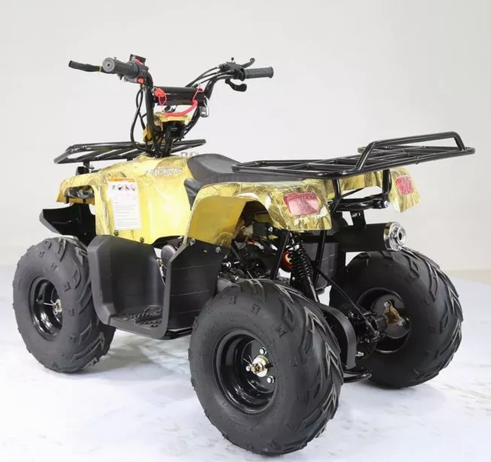 Квадроцикл MOTOLAND (МОТОЛЕНД) 110 RIDER