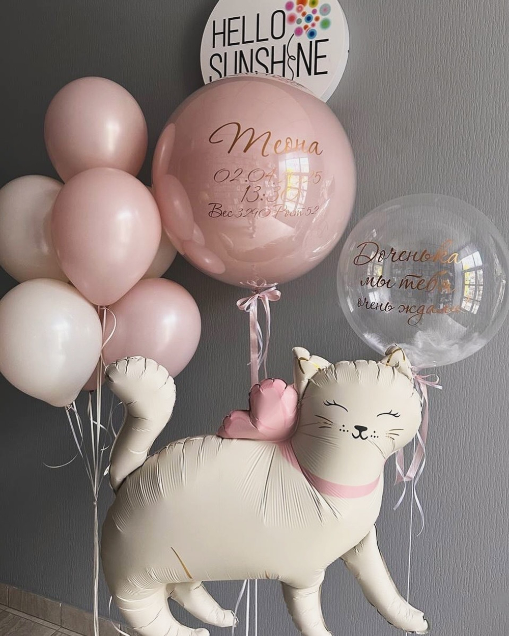 Набор шаров Пудровый котик