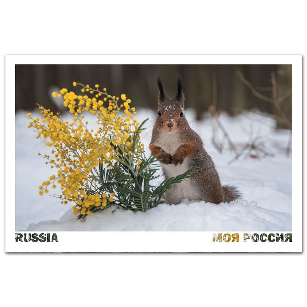 С 8 марта! Усадьба Остафьево, Московская область