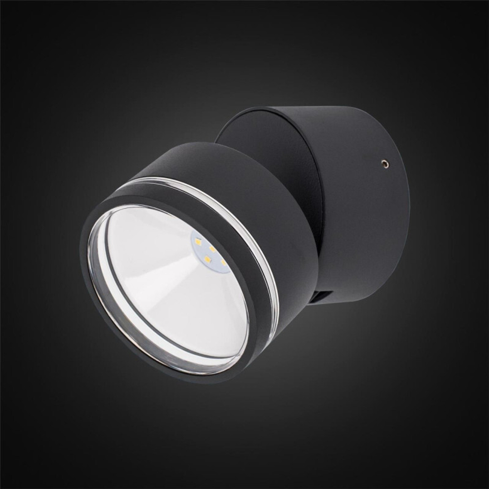 Уличный настенный светильник Citilux CLU0008R