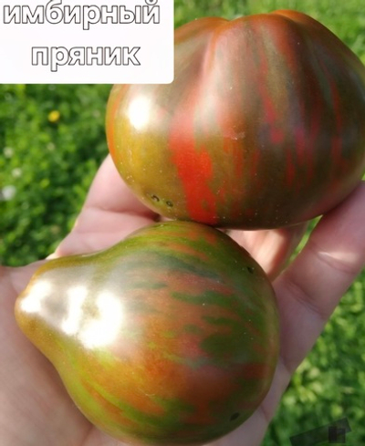 ИМБИРНЫЙ ПРЯНИК