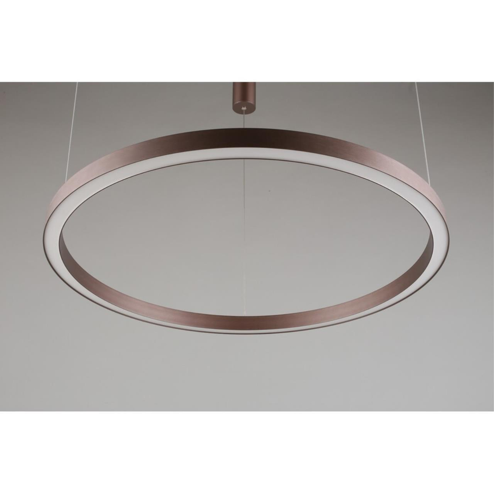 Подвесная светодиодная люстра Aployt Nisia APL.025.03.60