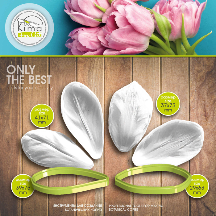 Тюльпан средний лепестки