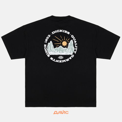 Футболка мужская Dickies Outdoor артикул:DK0A4Z8PBLK1 - купить в магазине Дайс