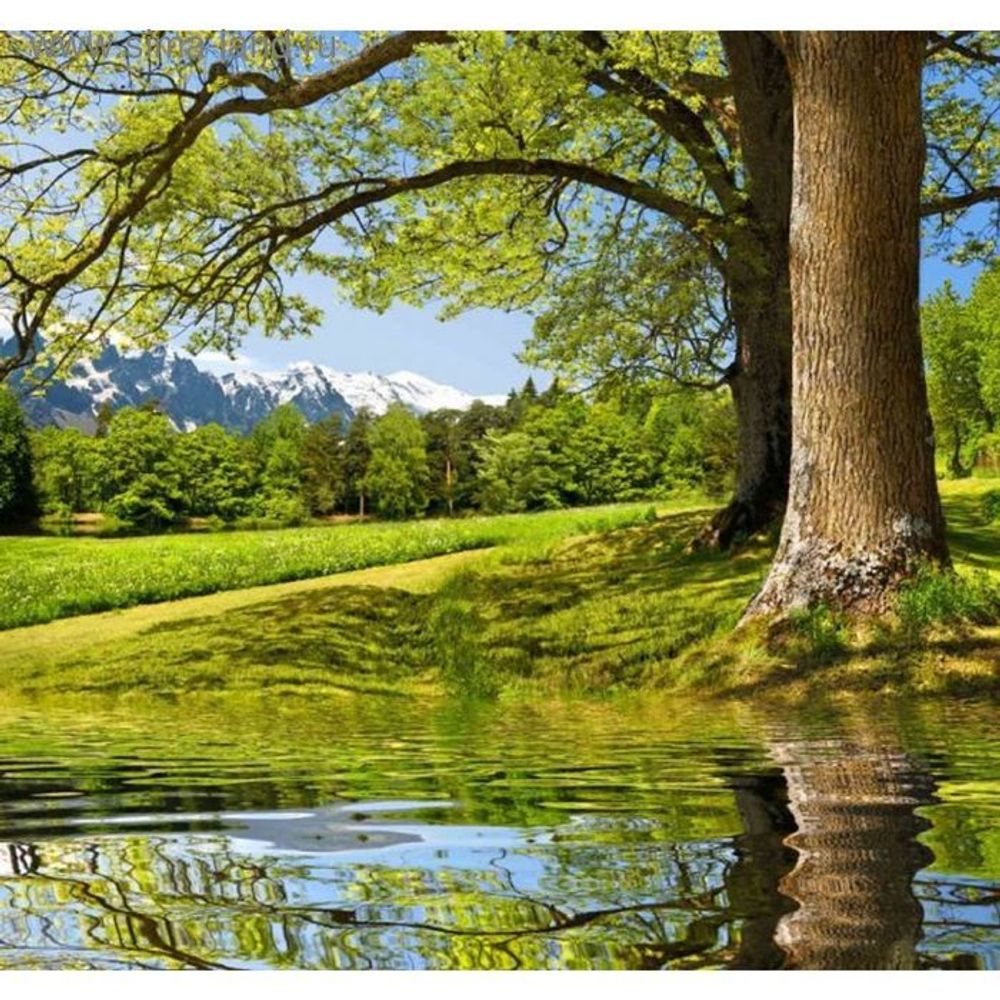 Фотообои Просторы ЛЮКС 2,91*2,72 (12 листов)