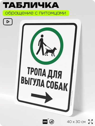 Табличка "Тропа для выгула собак" на дверь и забор, для двора, дома, подъезда, 40х30 см, Silver Plane x Айдентика Технолоджи