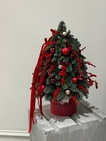 Елка из нобилиса