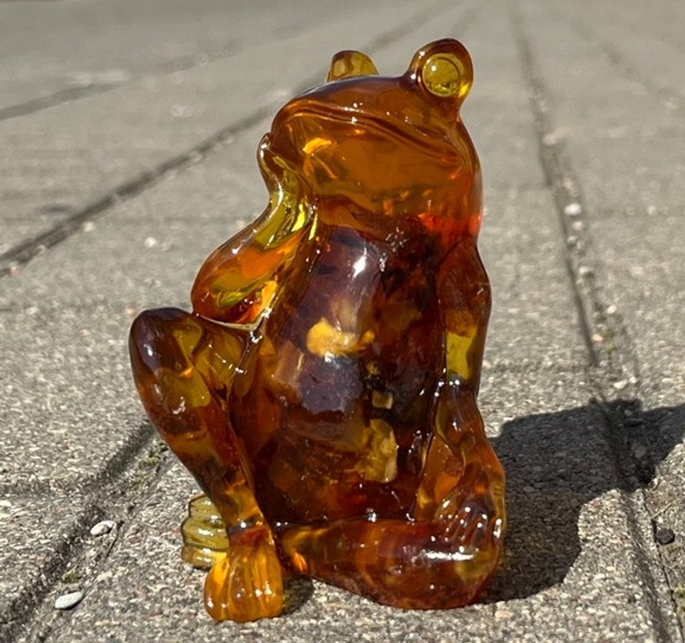 Лягушка задумчивая