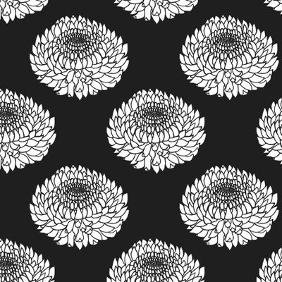 Белый  цветок бессмертника