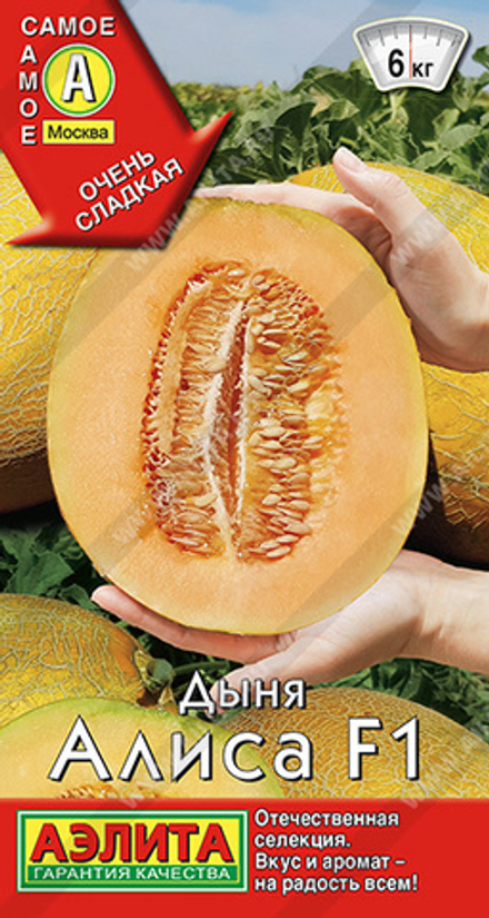 Дыня Алиса 10шт Аэлита
