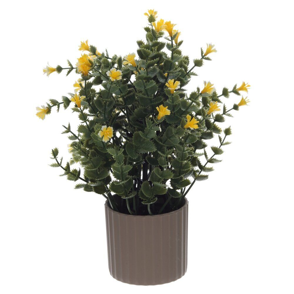 GAEM Цветочная композиция, L16 W16 H26 см