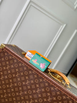 Louis Vuitton Pocket Organizer