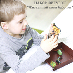 НАБОР ФИГУРОК "Жизненный цикл бабочки"