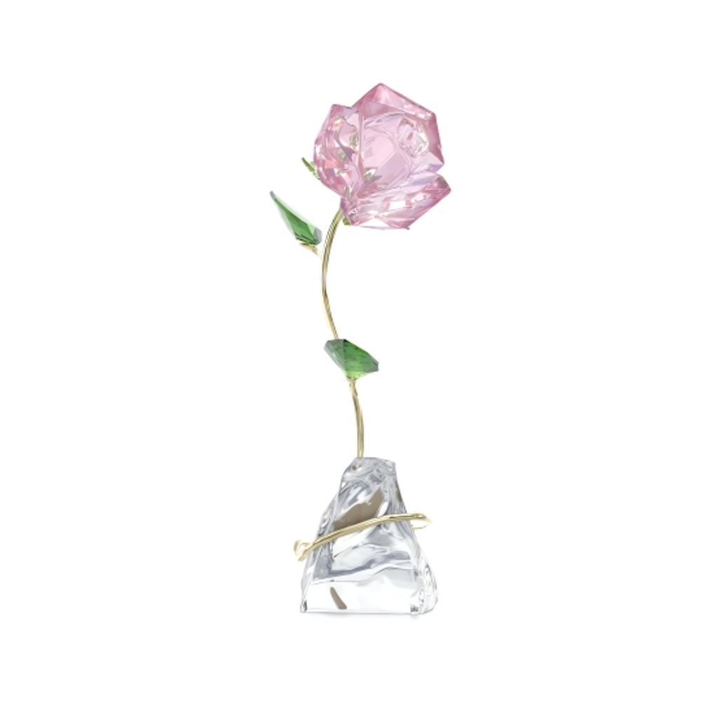 FLORERE:ROSE