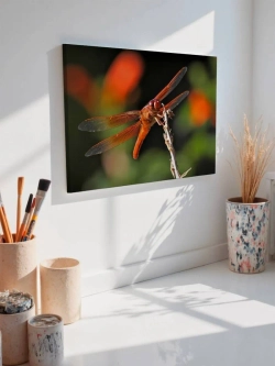 Картина на стену 40 X 50 Стрекоза