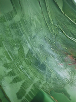 Картина "Кружево водных кругов" 50х60: Ручная уникальная эксклюзивная картина в единственном экземпляре