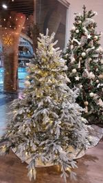 заснеженная ель "Престиж" с гирляндой встроенной в ветки